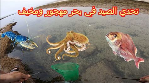 العيش الحر تحدي صيد🎣 الاخطبوط والسمك من اجل العيش في بحر مهجور Youtube