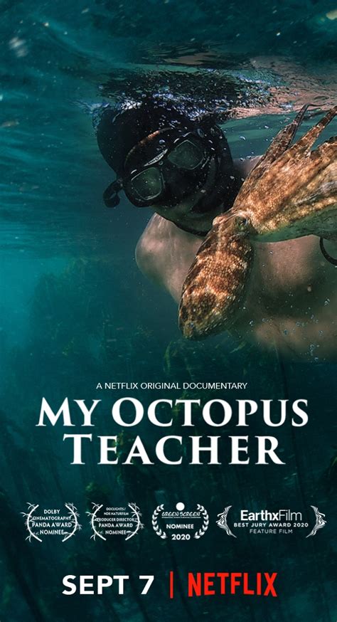 My Octopus Teacher (2020) - Pencils and Popcans