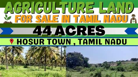 HOSUR 44 ACRES COCONUT AGRICULTURE FARMLAND FOR SALE BENGALURU