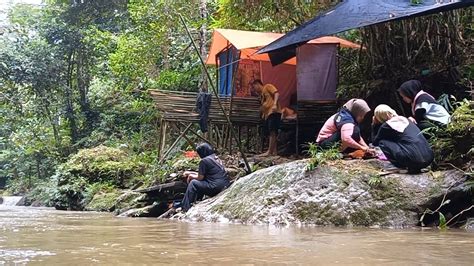 Camping Rame Rame Di Hutan Diguyur Hujan Deras Membangun Shelter Perahu