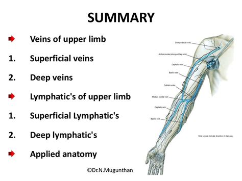 Venous Andlymphatic Drainage Of Upper Limb Drnmugunthan