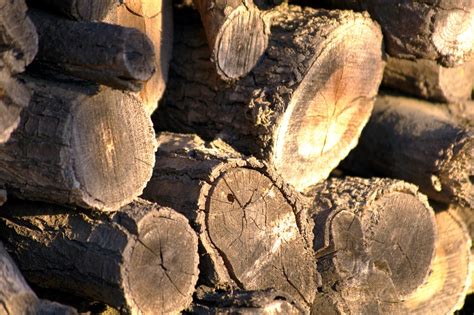 Protokoll Holz Sonne Kostenloses Foto Auf Pixabay