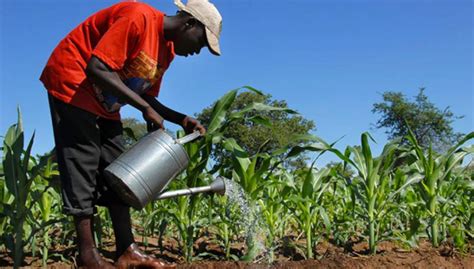 Le développement de lagriculture en Afrique se prépare à Khartoum