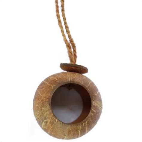 Brown Coconut Shell Bird Feeder At Best Price In Kanyakumari Weowe