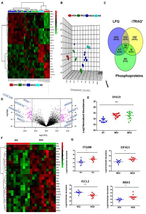 Identification Of Meningioma Subtypes Using Proteomics And Examining Download Scientific