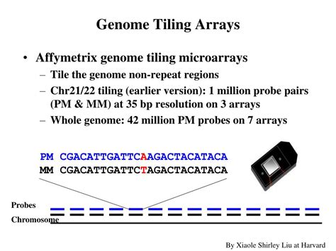 Ppt Special Topics In Genomics Chip Chip And Tiling Arrays Powerpoint