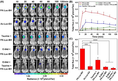 Serial In Vivo Bli Of T Fluc Tumor Bearing Balb C Mice After The