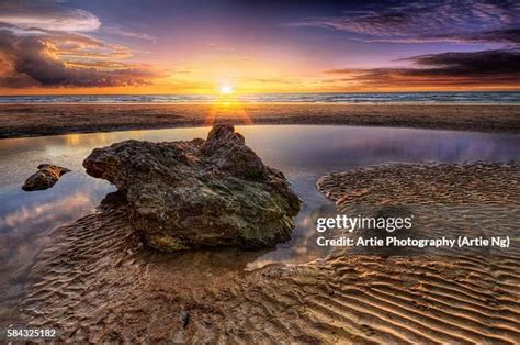 298 Casuarina Australia Stock Photos, High-Res Pictures, and Images - Getty Images