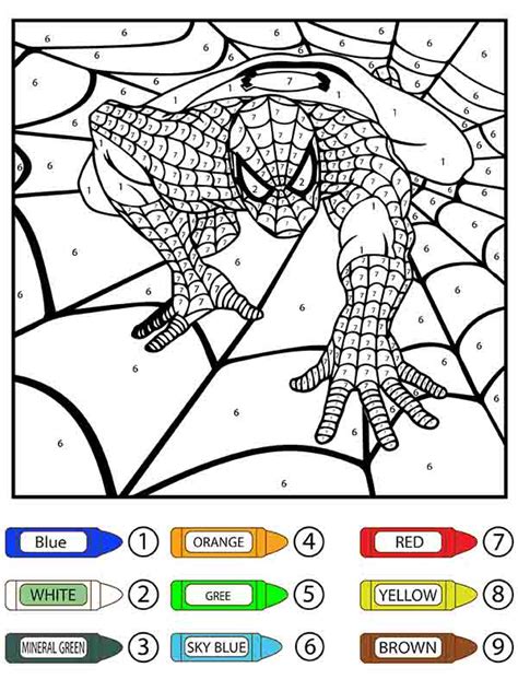 Spider-Man Crawling on Web Color by Number