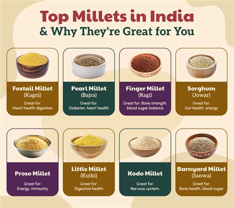 types  millets  complete guide   varieties  shift