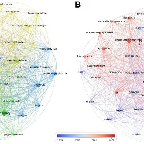 The Keywords Co Occurrence Network A Network Visualization The