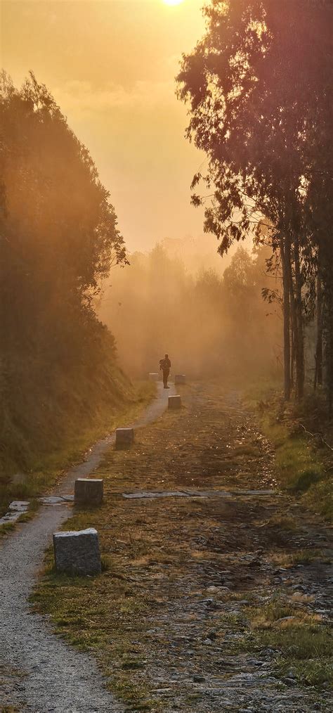 Dawn of the Walker | Eroski Consumer