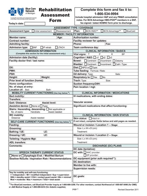 Rehab Assessment Form 2020 2021 Fill And Sign Printable Template Online Us Legal Forms