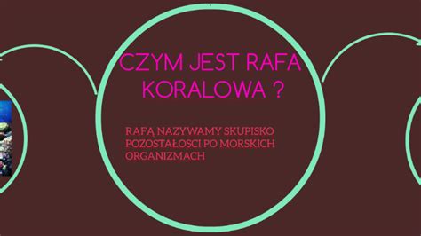 CZYM JEST RAFA KORALOWA By Patrycja Jajko On Prezi