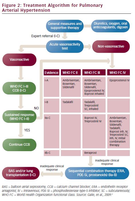 Diagnosis and Treatment of Pulmonary Hypertension | Radcliffe Cardiology