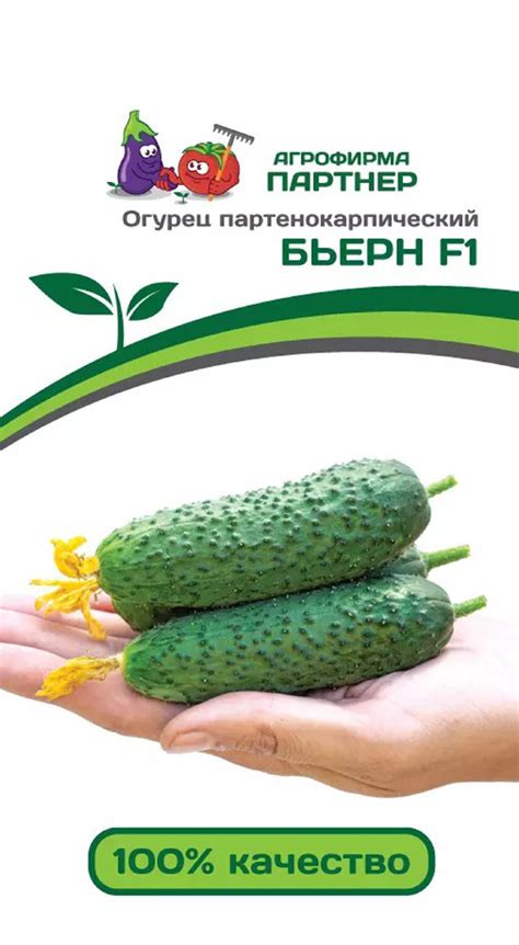 Купить огурец бьерн f1, 5 шт семян по цене 160 руб. в интернет магазине ...