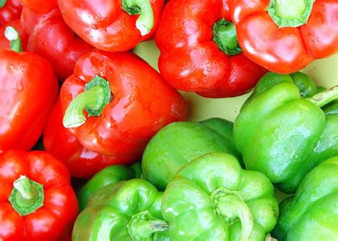 Amazing Health Benefits Of Eating Bell Peppers — Healthy Builderz