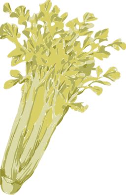 Celery Clipart I2Clipart Royalty Free Public Domain Clipart