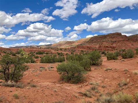 A First Timers Guide To Jemez Springs New Mexico