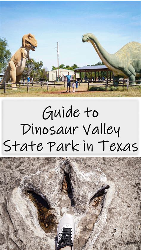 Guide To Dinosaur Valley State Park In Texas Dinosaur Valley State Park Texas State Parks