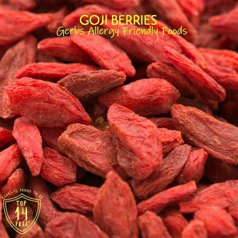 Dried Goji Berries Wolfberry No Added Sugar Gerbs