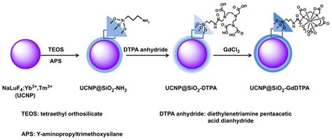 Ijms Free Full Text Nanoparticle Based Systems For T1 Weighted