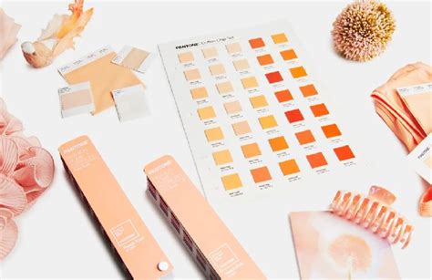 Peach Fuzz 13 1023 Le Caratteristiche Del Colore Pantone Del 2024