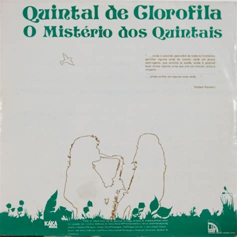 Quintal De Glorofila O Misterio Dos Quintais Return To The