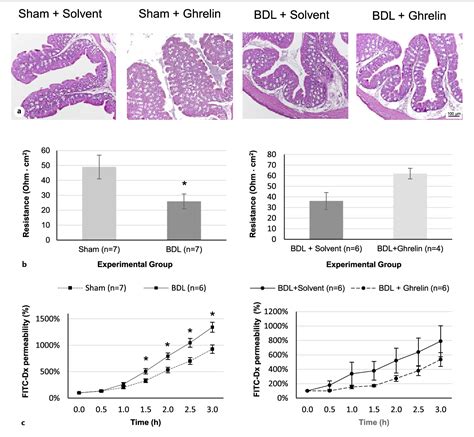 Figure 1 From Effects Of Bile Duct Ligation And Ghrelin Treatment On