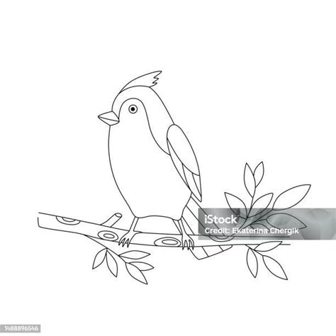 Ilustración De Dibujo Para Colorear Con Pajarito En Rama Boceto Esquema