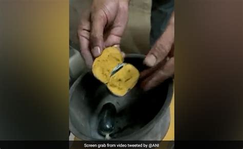 Gold Worth 42 Lakhs Hidden In Mans Rectum Seized At Airport In Telangana