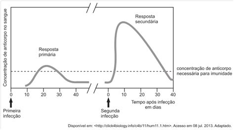 O Gr Fico A Seguir Ilustra A Resposta Imunol G Explica