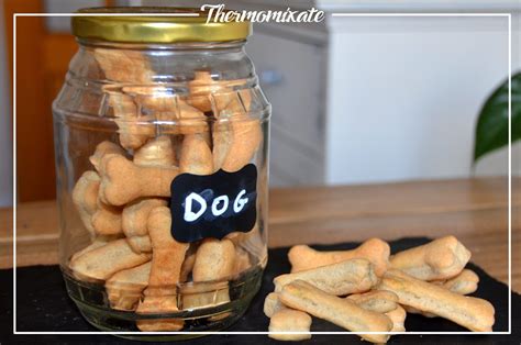 GALLETAS CASERAS PARA PERROS No Solo Recetas