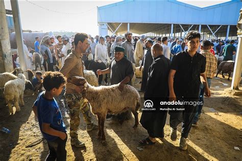 Tunus ta kurbanlık fiyatlarındaki artıştan hem üretici hem de tüketici