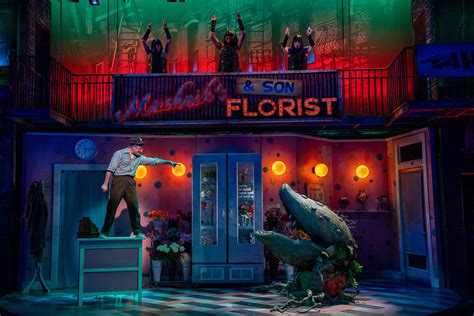 Little Shop of Horrors | South Coast Repertory