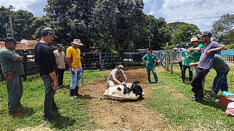 Divulgados os locais de provas do concurso da Emater DF Agência Brasília