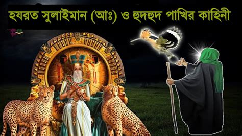 সুলাইমান নবী ও হুদহুদ পাখির অজানা কাহিনী।।sulaiman The Prophet And The