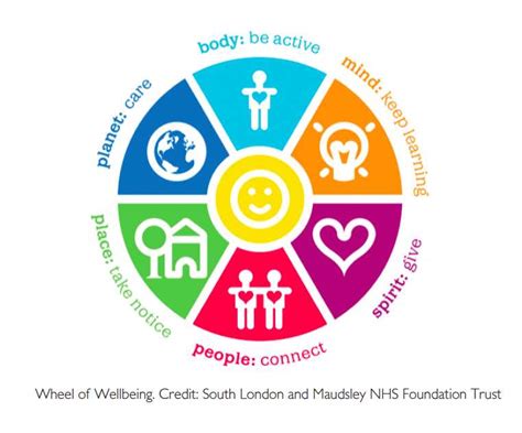 wheel of wellbeing - British Association for Holistic Medicine & Health Care