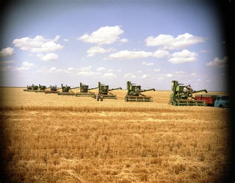 Wheat Harvest At Phillip Miller S Farm The Portal To Texas History