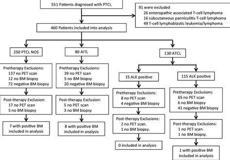 Selection Criteria For The 16 Peripheral T Cell Lymphoma Patients In Download Scientific