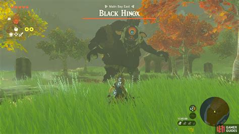 Black Hinox The Legend Of Zelda Tears Of The Kingdom Database