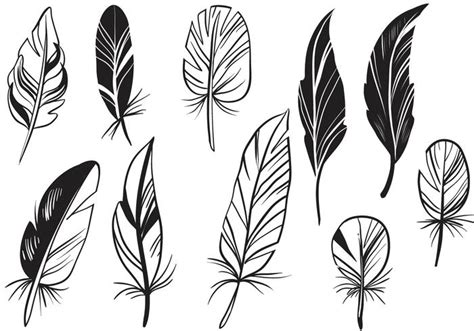 Pluma Vector Art, Icons, and Graphics for Free Download