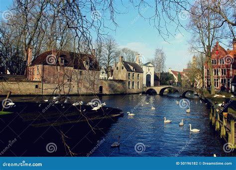 Swan Lake in Brugge, Belgium Stock Photo - Image of outside, brugge ...