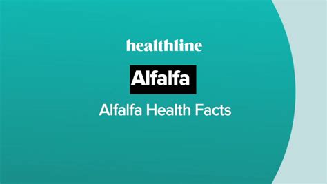 Alfalfa Leaf Powder Nutrition Facts Besto Blog