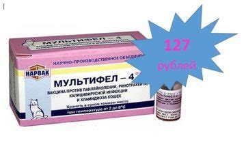 Мультифел 4 для кошек: показания и инструкция по применению, отзывы, цена