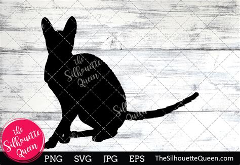 Cornish Rex Cat Silhouette Graphic By Thesilhouettequeenshop · Creative