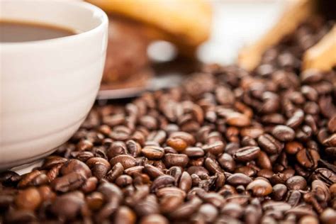 bali blue moon coffee sogood coffee