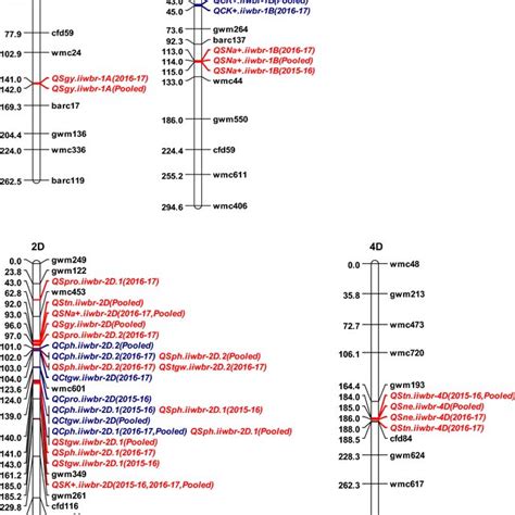 Linkage Map And Qtls Position Under Control In Blue Colour And Sodic