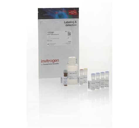 Invitrogen Qubit RNA IQ Assay Kit 75 Assays Reagenzien und Kits für