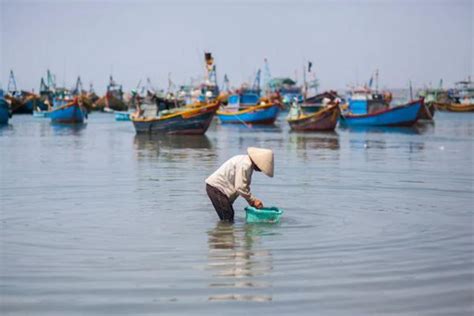 2021湛江休渔期是什么时候旅泊网